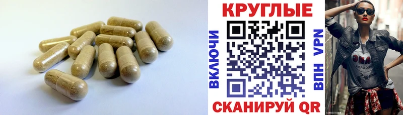 ЭКСТАЗИ Punisher  даркнет сайт  Калининград 