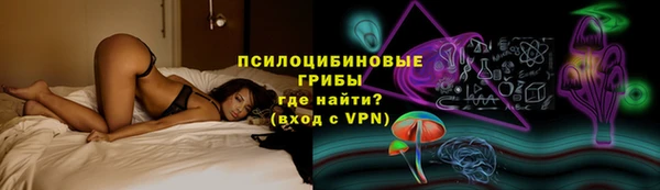 крисы Абдулино