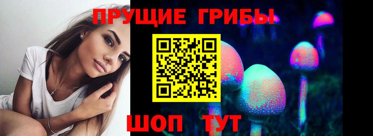 Галлюциногенные грибы Psilocybe  Галлюциногенные грибы GOLDEN TEACHER  Калининград  купить  цена  Вход с VPN 
